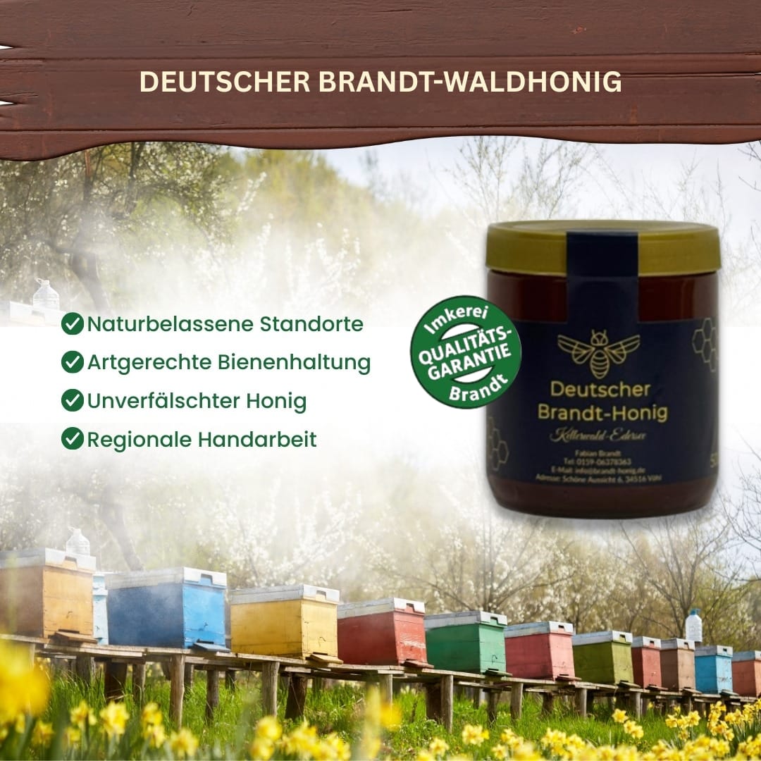 Brandt-Waldhonig
