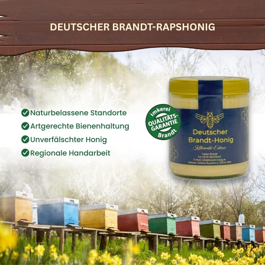 Brandt-Rapshonig