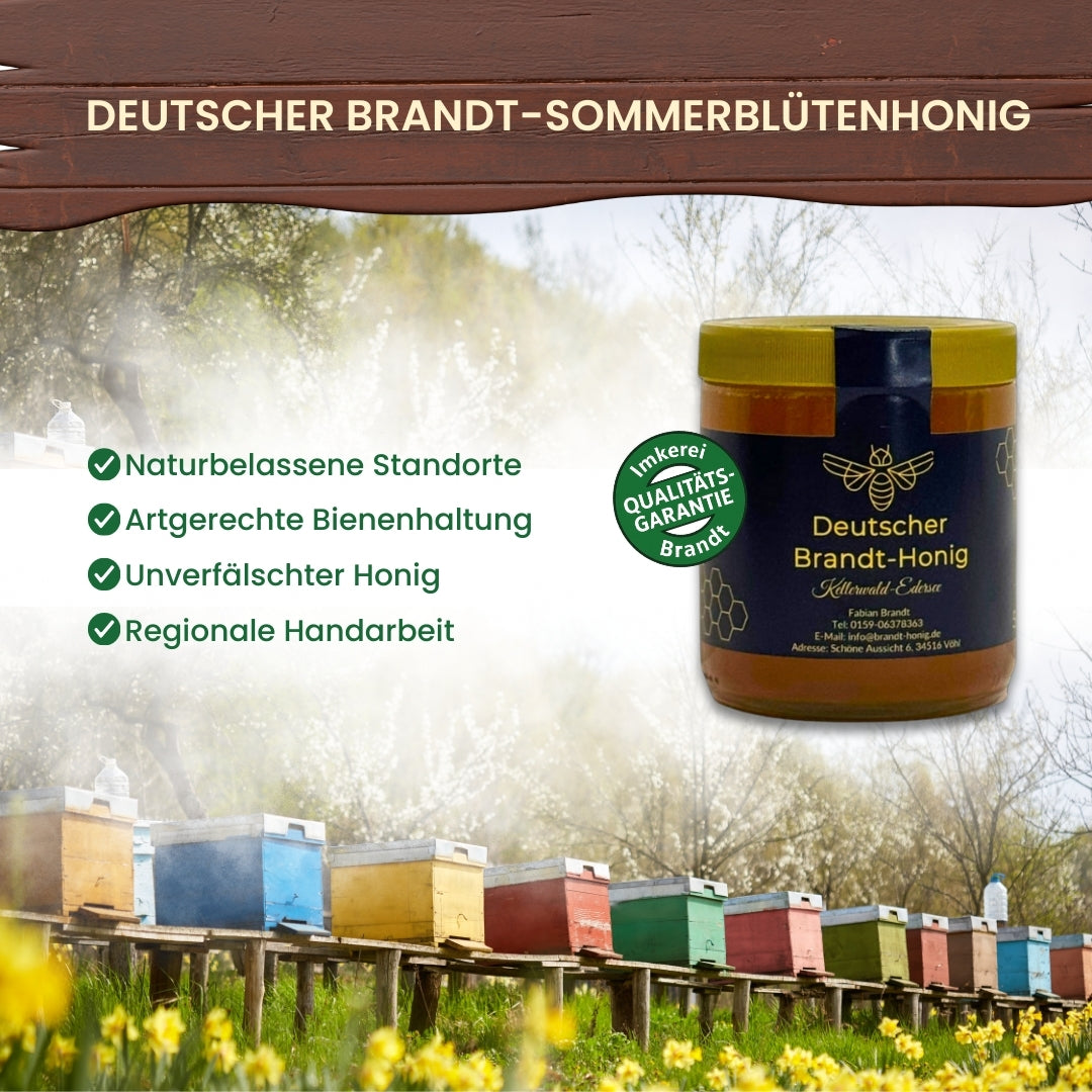Brandt-Sommerblütenhonig
